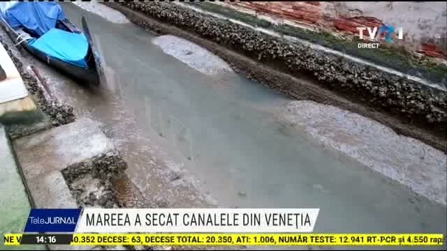 Mareea a secat canalele din Venetia