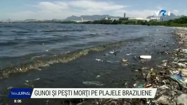 Gunoi și pești morți pe plajele braziliene