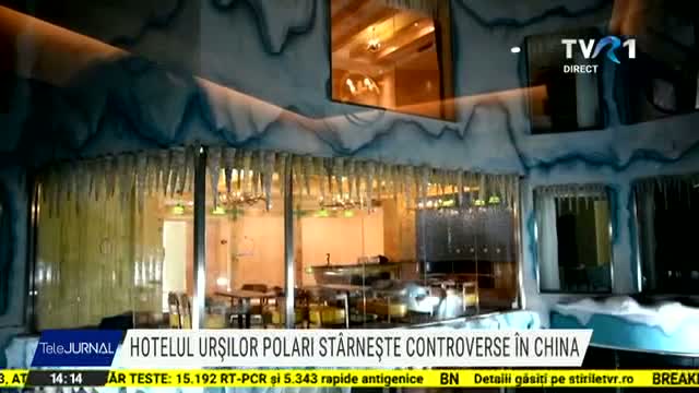 Hotelul urșilor polari stârnește controverse în China 