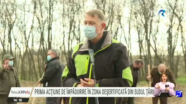 Prima acțiune de împădurire în zona deșertificată din sudul României