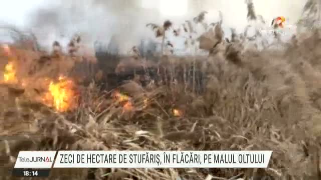 Zeci de hectare de stufăriș, în flăcări 