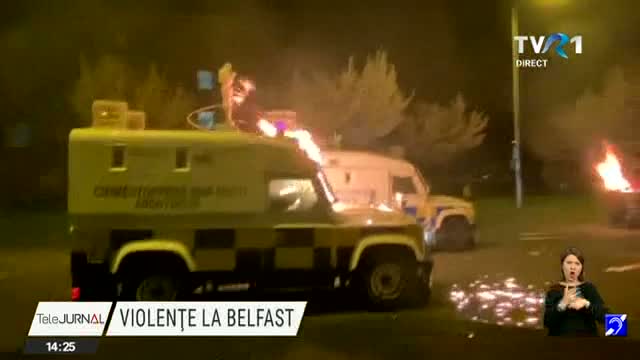 Violețe la Belfast