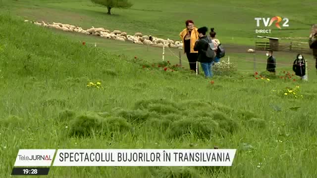 Spectacolul bujorilor în Transilvania 