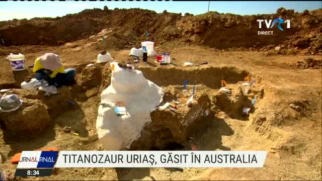 Titanozaur urias, gasit in Australia