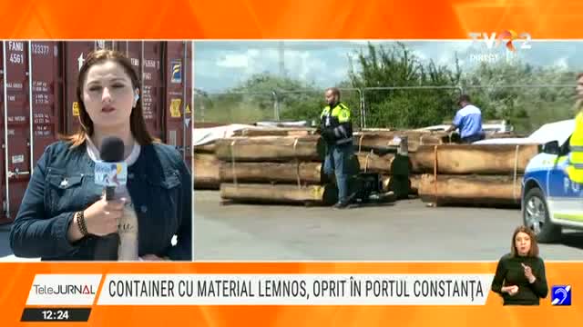 Container cu material lemnos, oprit în portul Constanța