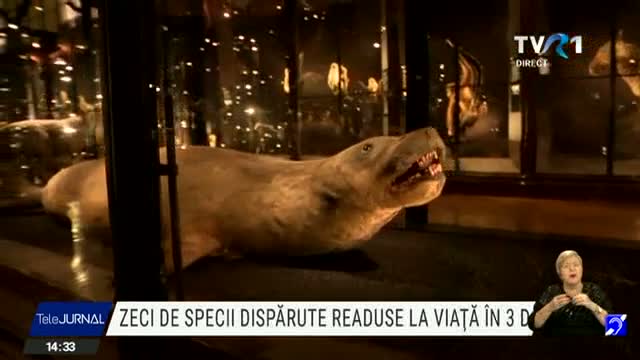Franța-Muzeul speciilor dispărute
