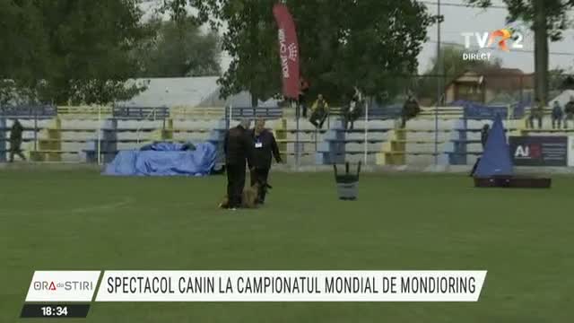 Spectacol canin