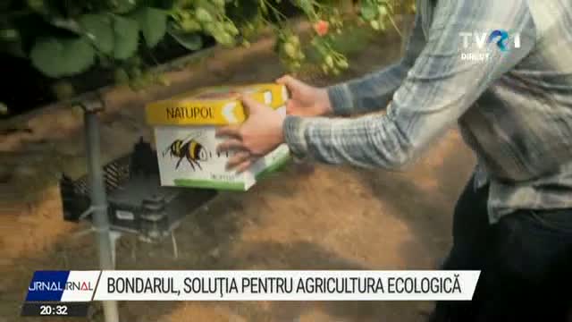 Bondarul, soluția pentru agricultura ecologică