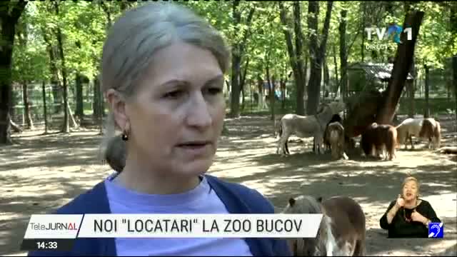 Noi locatari la Zoo Bucov