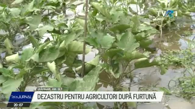 Dezastru pentru agricultori după furtună