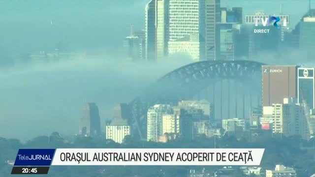 Sydney sub ceata