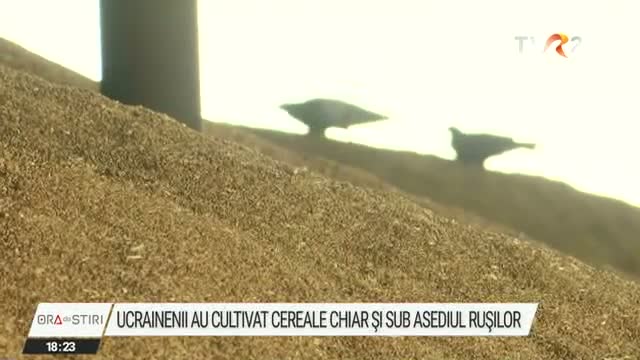 Ucrainenii au cultivat cereale chiar și sub asediul rușilor
