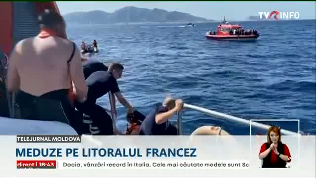 Meduze pe litoralul francez
